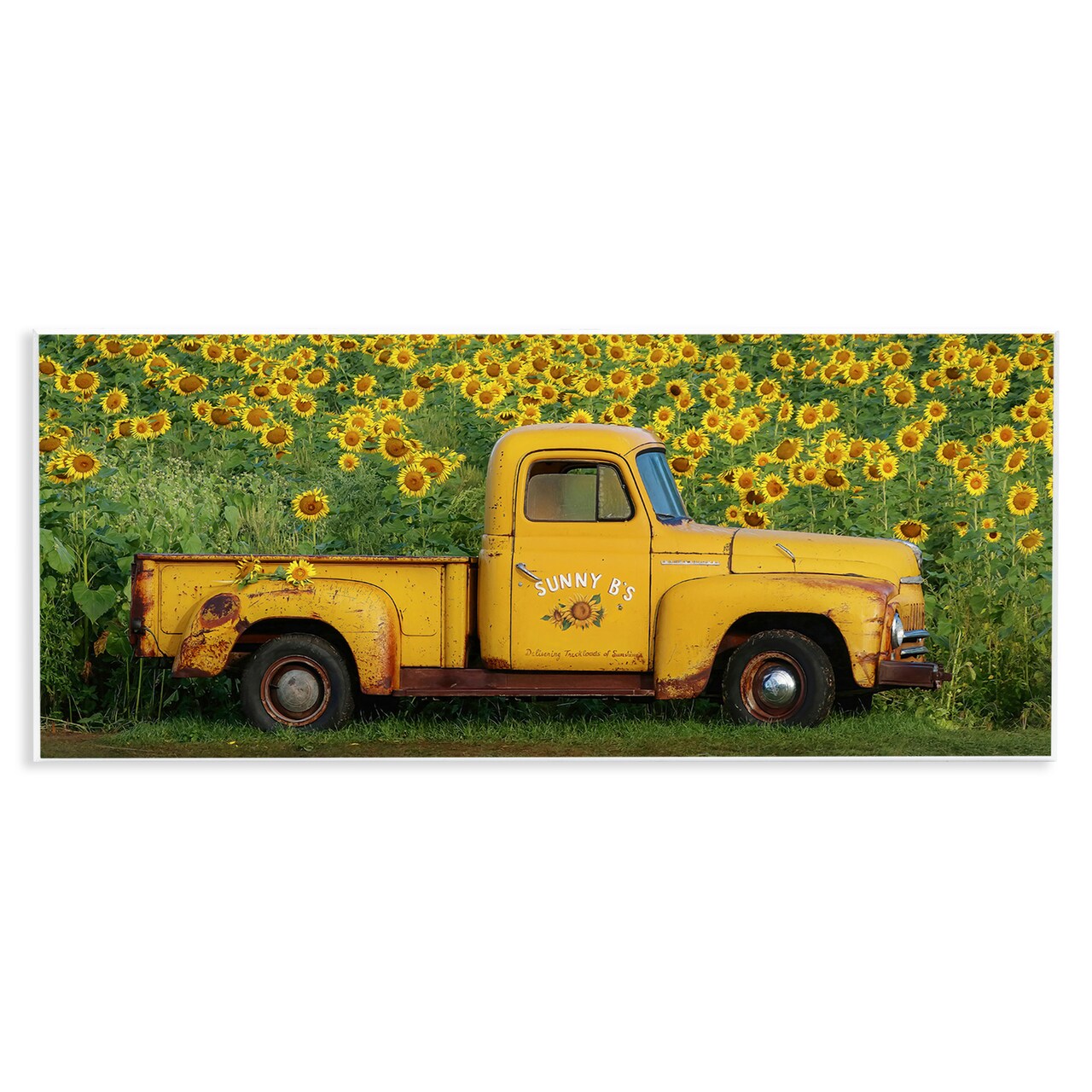 Stupell Industries Yellow Pickup in Sunflower Field Wall Plaque Art